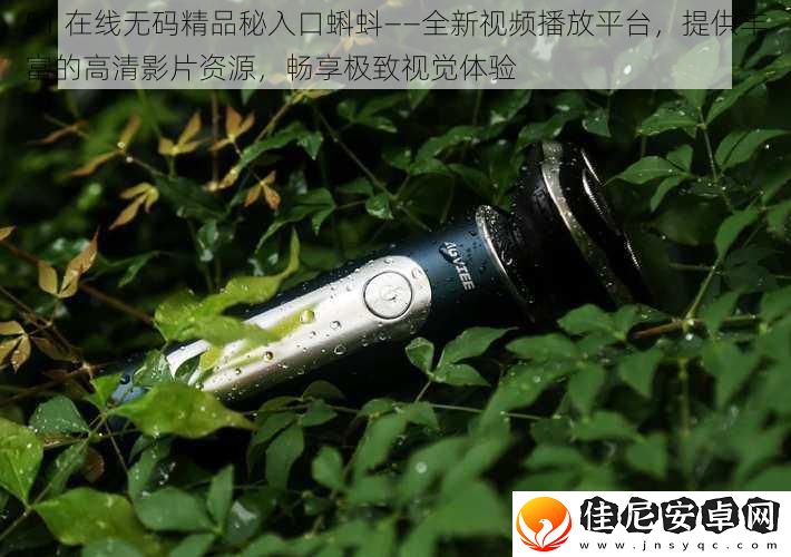 51-在线无码精品秘入口蝌蚪——全新视频播放平台-提供丰富的高清影片资源-畅享极致视觉体验
