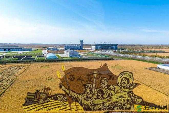 开垦妈妈那片肥沃土地的奇妙探索之旅