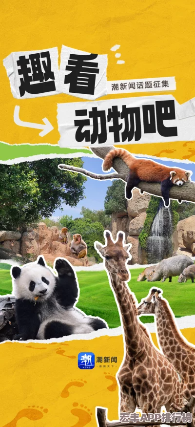 动物园奇遇记：'油炸狮'奇谈下的宠物友好倡议-共筑和谐参观新风尚