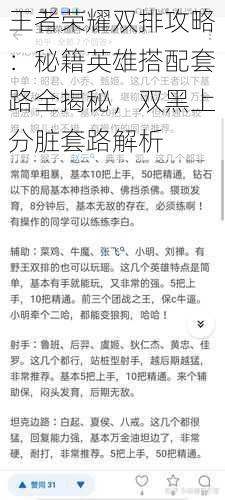 王者荣耀双排攻略:秘籍英雄搭配套路全揭秘,双黑上分脏套路解析