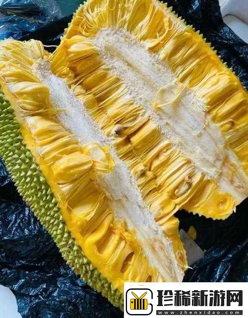 菠萝菠萝蜜视频免费高清观看
