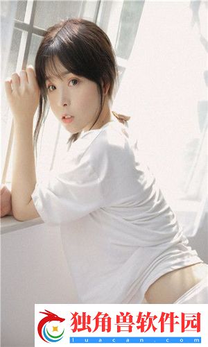 九幺9-1旧版安装：轻松掌握安装流程与技巧-确保成功运行！