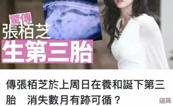 张柏芝的逼：在娱乐圈中-她如何用自己的方式诠释女性魅力与坚韧不拔的精神