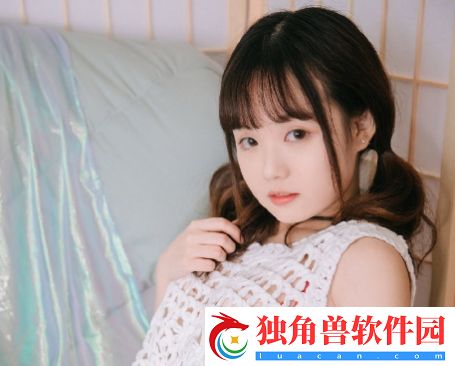 沙滩排球3机型品质低怎么办：选择最适合你的战斗风格！
