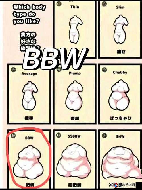 野外BBWBBwBBWBBW:关于野外BBWBBwBBWBBW的一些探讨与分析