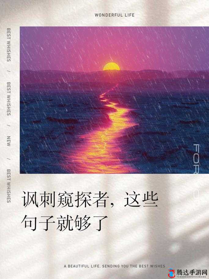 天天偷窥网:满足你窥探欲的神秘世界