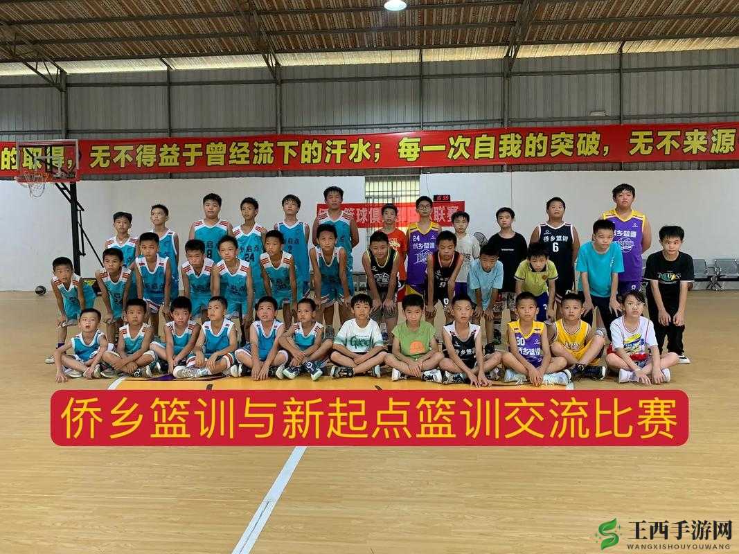 中国篮球生手冲 s 网站:探索篮球技巧的新起点