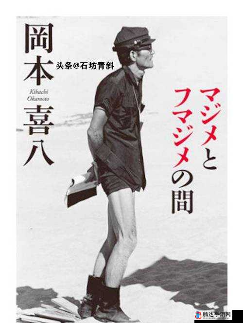日本人ⅩXⅩⅩ69 与他的传奇经历和独特故事