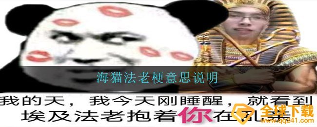 海猫法老是什么梗-海猫法老梗意思说明