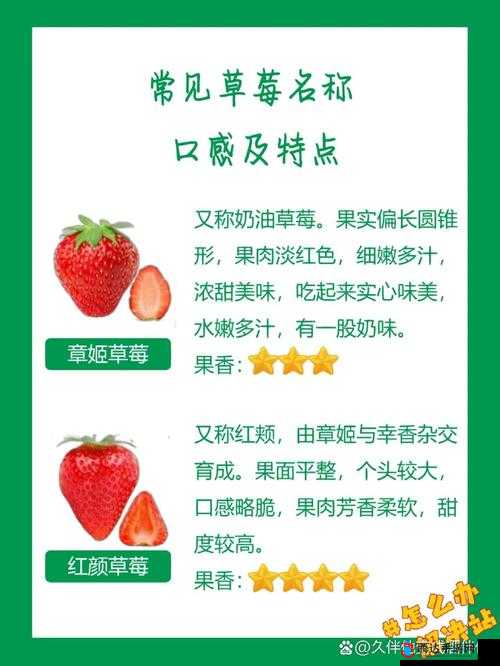 蜜丝婷大草莓和小草莓对比解禁不再付费:全新评测与详细分析