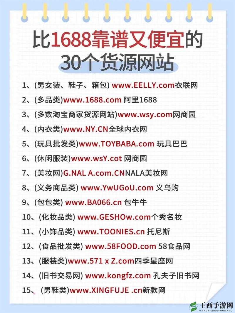 成品网站货源入口:优质货源轻松获取之道