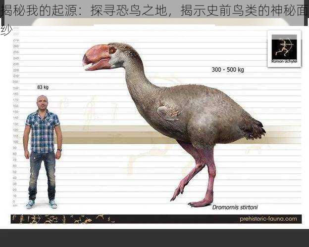 揭秘我的起源:探寻恐鸟之地,揭示史前鸟类的神秘面纱