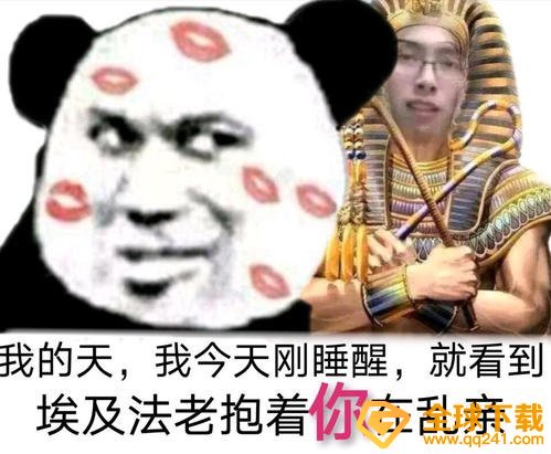 海猫法老梗意思说明