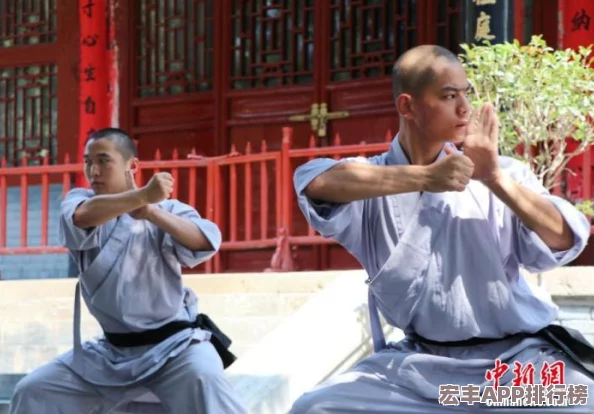 少林武学精髓