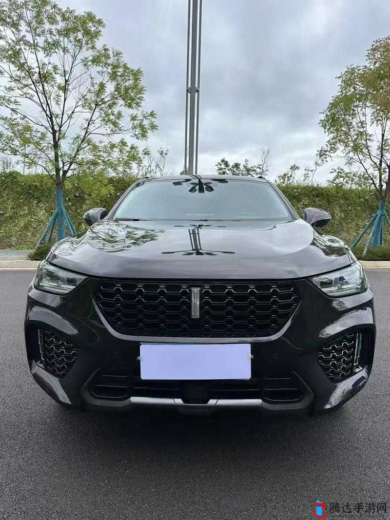 weyvv5 国产的 suv:一款极具魅力的国产汽车等你来了解