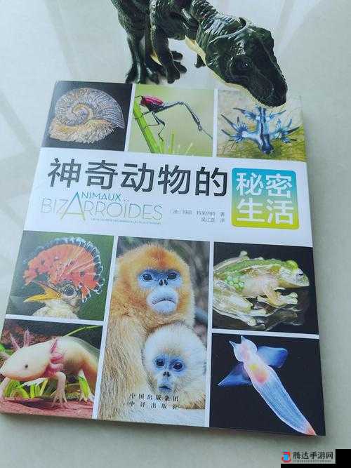 ZoomZookeeper 动物：探索神奇动物世界的奇妙之旅