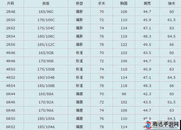 美国大尺码与欧洲大尺码:尺寸差异背后的文化与审美探究