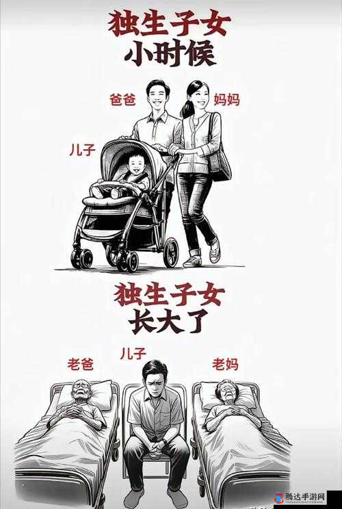 父母儿女一家狂徐海金梦：一个关于亲情与梦想的故事