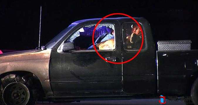 张警犬撞玻璃视频资源：萌宠的意外之举