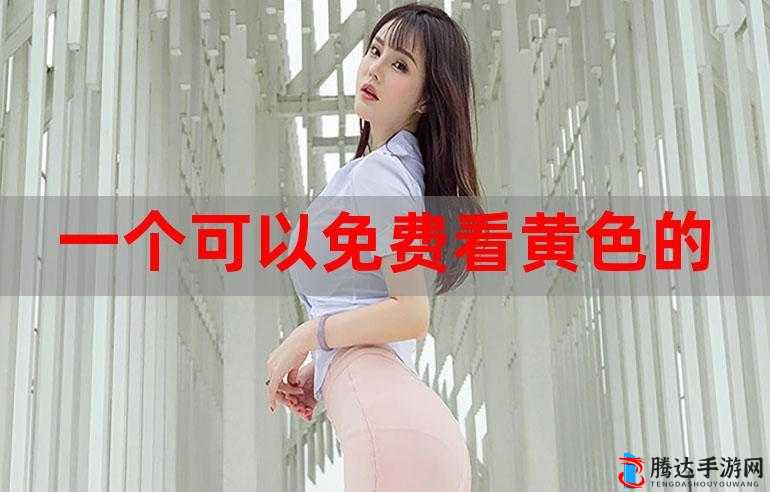 2021 网站无需下载,直接观看,急急急