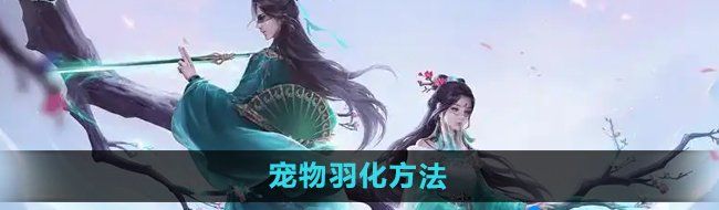 《问道手游》宠物羽化方法
