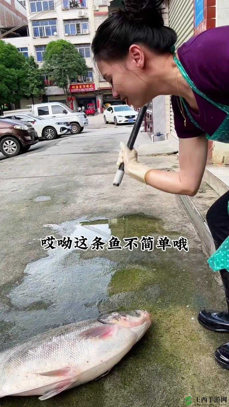 捕鱼来了游戏攻略，掌握捕获大鱼与实现快速击杀的高效技巧与策略
