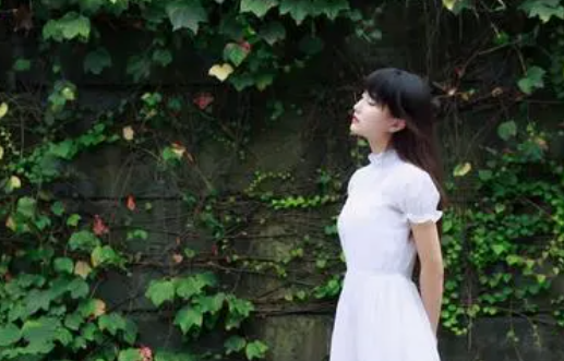 如何通过柑橘直播获取丰厚收益