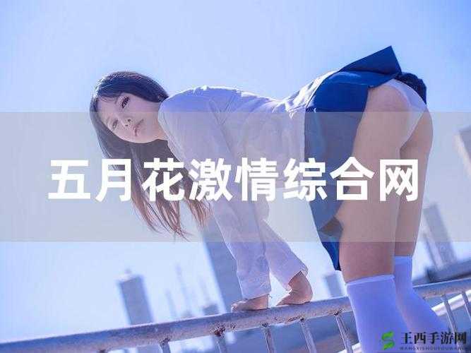 婷婷开心激情综合***演唱会:音乐与激情的完美结合