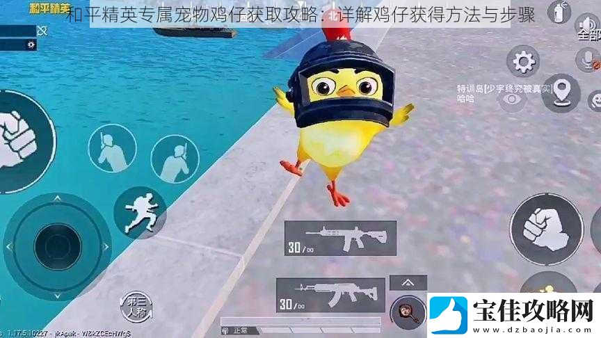 和平精英专属宠物鸡仔获取攻略：详解鸡仔获得方法与步骤