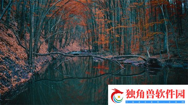 51cgfun今日吃瓜学生必吃防走丢：实用安全建议与技术手段