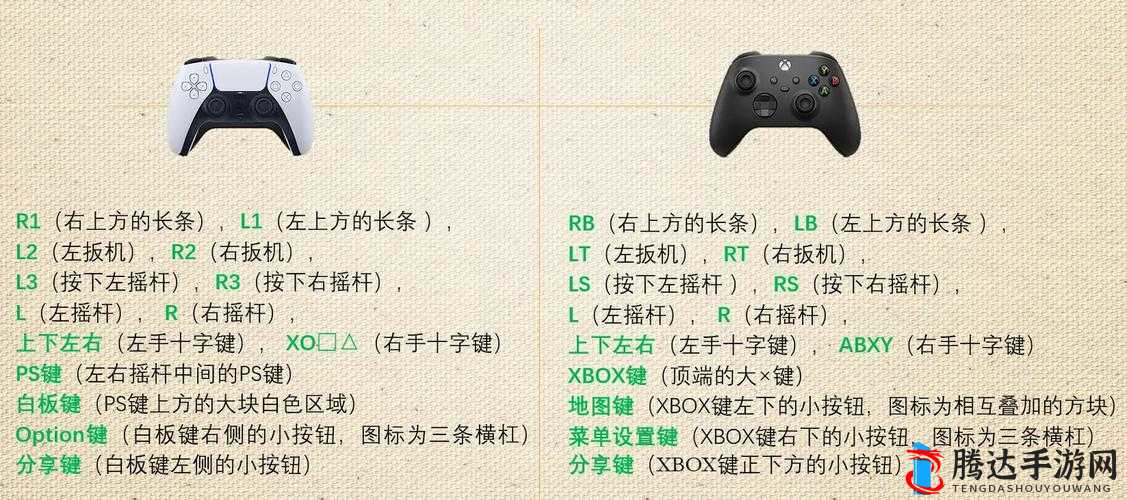 Xbox 在线观看高清视频教程详细步骤及技巧分享