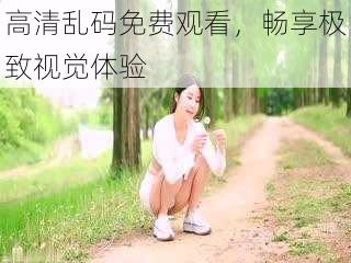 高清乱码免费观看,畅享极致视觉体验