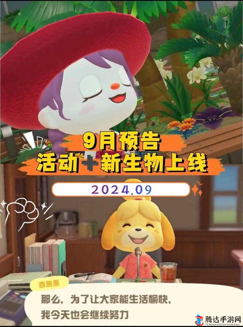 集合啦!动物森友会联机畅玩,会员身份成关键?NS动物之森联机机制全揭秘