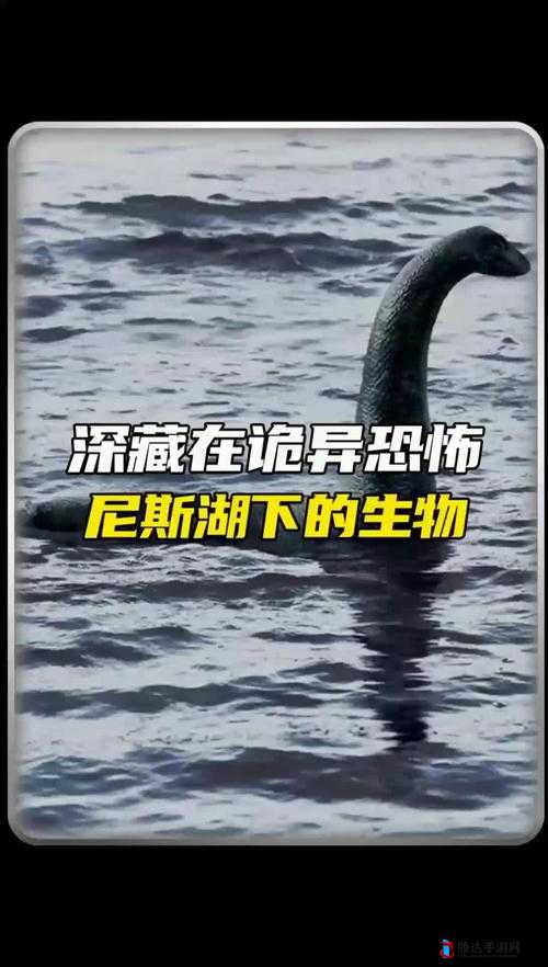无法合拢的皇帝：历史中的奇特存在之谜