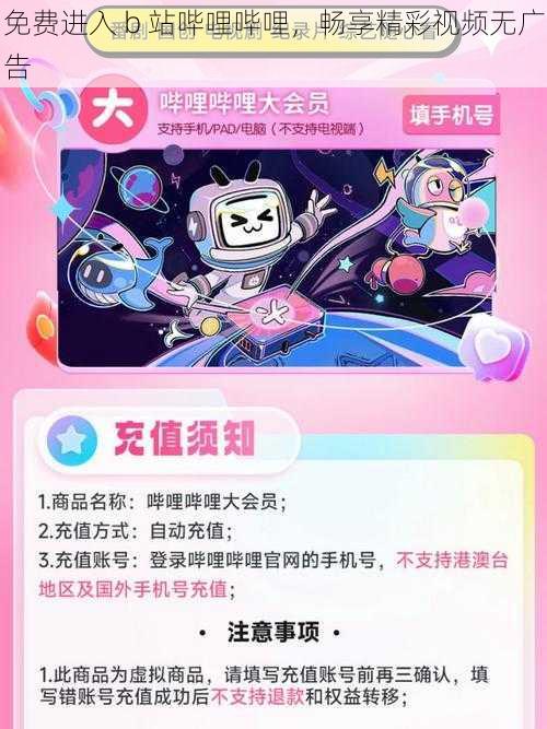 免费进入 b 站哔哩哔哩，畅享精彩视频无广告