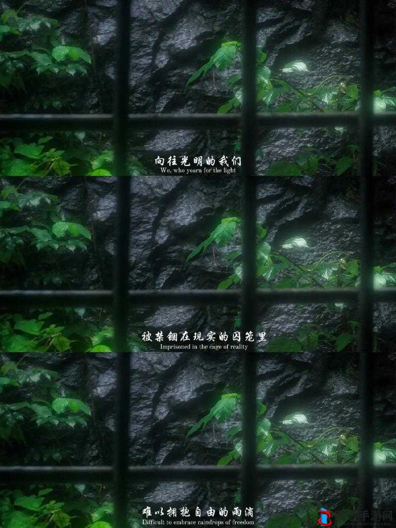 爱情的囚笼:爱是束缚,还是自由?