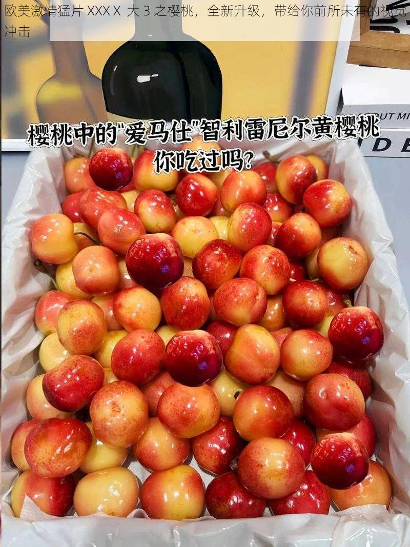 欧美激情猛片 XXXⅩ 大 3 之樱桃,全新升级,带给你前所未有的视觉冲击