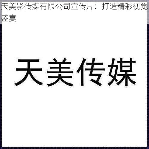 天美影传媒有限公司宣传片:打造精彩视觉盛宴