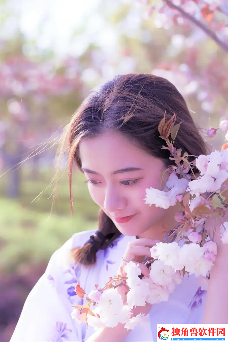 无人一区二区区别是什么红桃：解密无人一区二区与红桃的不同之处-哪个更能带来理想的体验