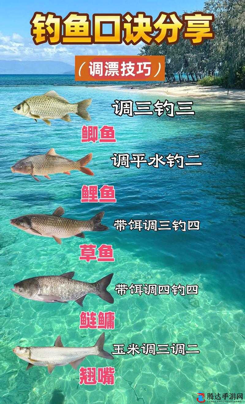 丛林地狱新人钓鱼指南,掌握钓鱼小技巧,轻松捕获美味鱼类