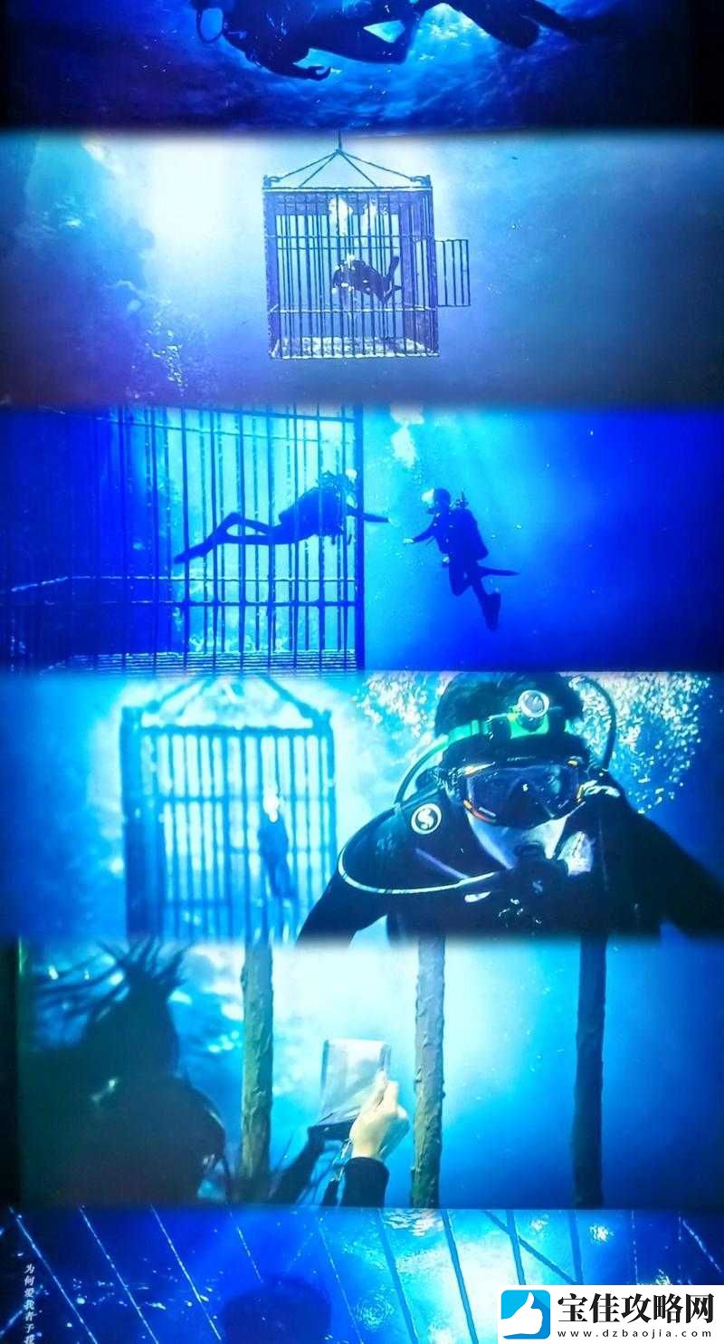 爱情的囚笼