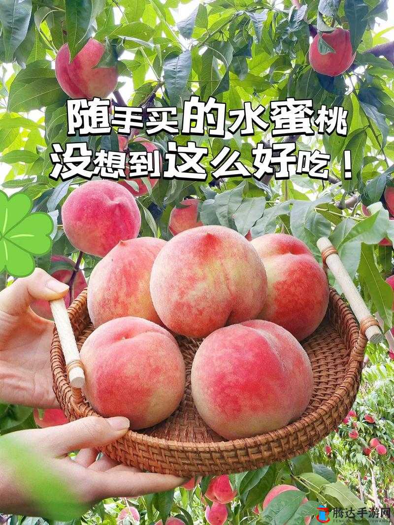 熟透的水蜜桃非常甜改为比喻句熟透的水蜜桃像蜜一样甜