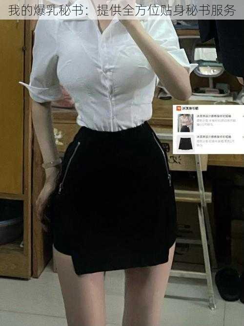 我的**秘书:提供全方位贴身秘书服务