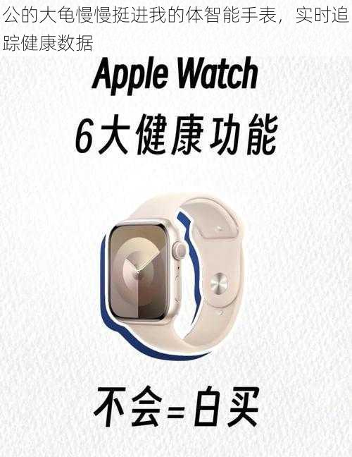 公的大龟慢慢挺进我的体智能手表,实时追踪健康数据