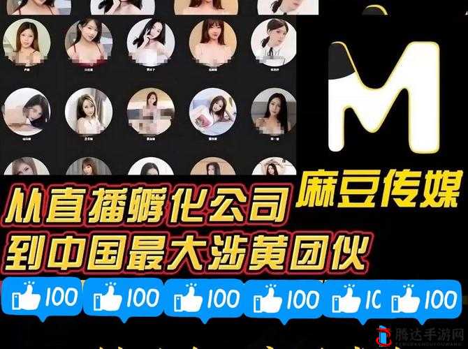 麻豆影视在线直播观看免费：警惕此类非法影视平台的危害