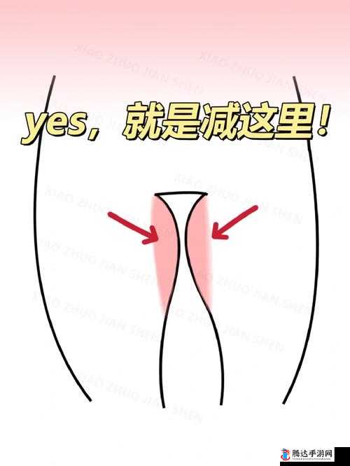 用电动牙刷放在大腿内侧位置这一奇特行为引发的思考