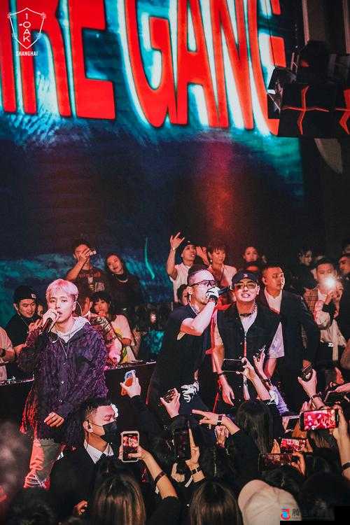 黑人双人 RAPPER 剧情介绍之他们的音乐梦想与奋斗之路