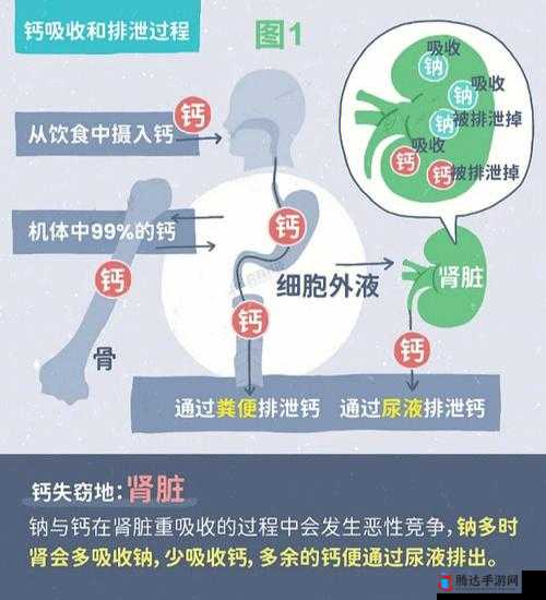 202GGY 钙站:致力于提供优质钙相关产品与服务的专业站点