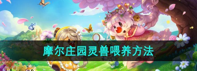摩尔庄园灵兽怎么喂养-灵兽喂养方法