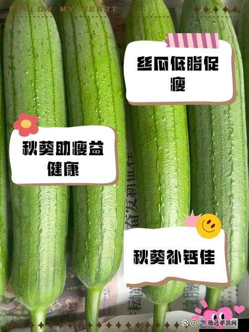 丝瓜与绿巨人蕾丝秋葵的功效及相关作用解析